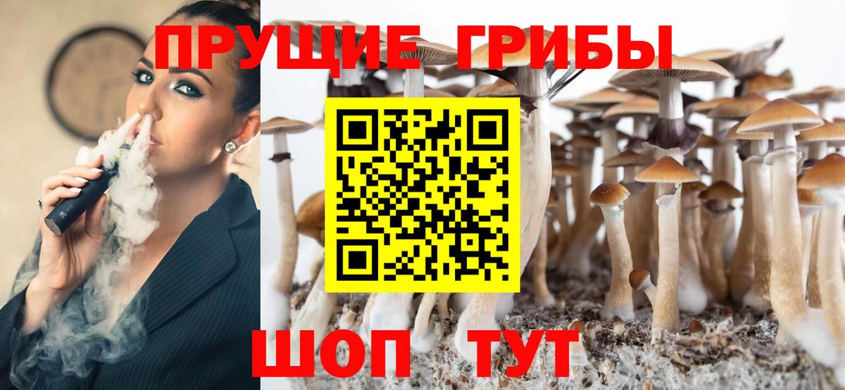 Псилоцибиновые грибы MAGIC MUSHROOMS  Вход с VPN  наркошоп  Конаково 